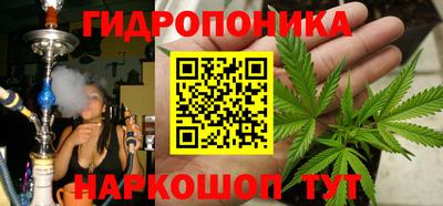 гидра Краснодар