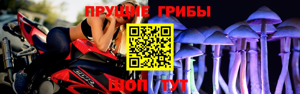 Псилоцибиновые грибы Magic Shrooms  Вход с VPN  Кимры 